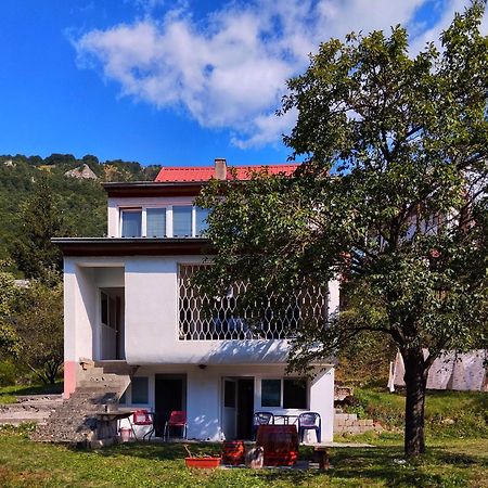 Guesthouse Mirkovic Плужине Экстерьер фото