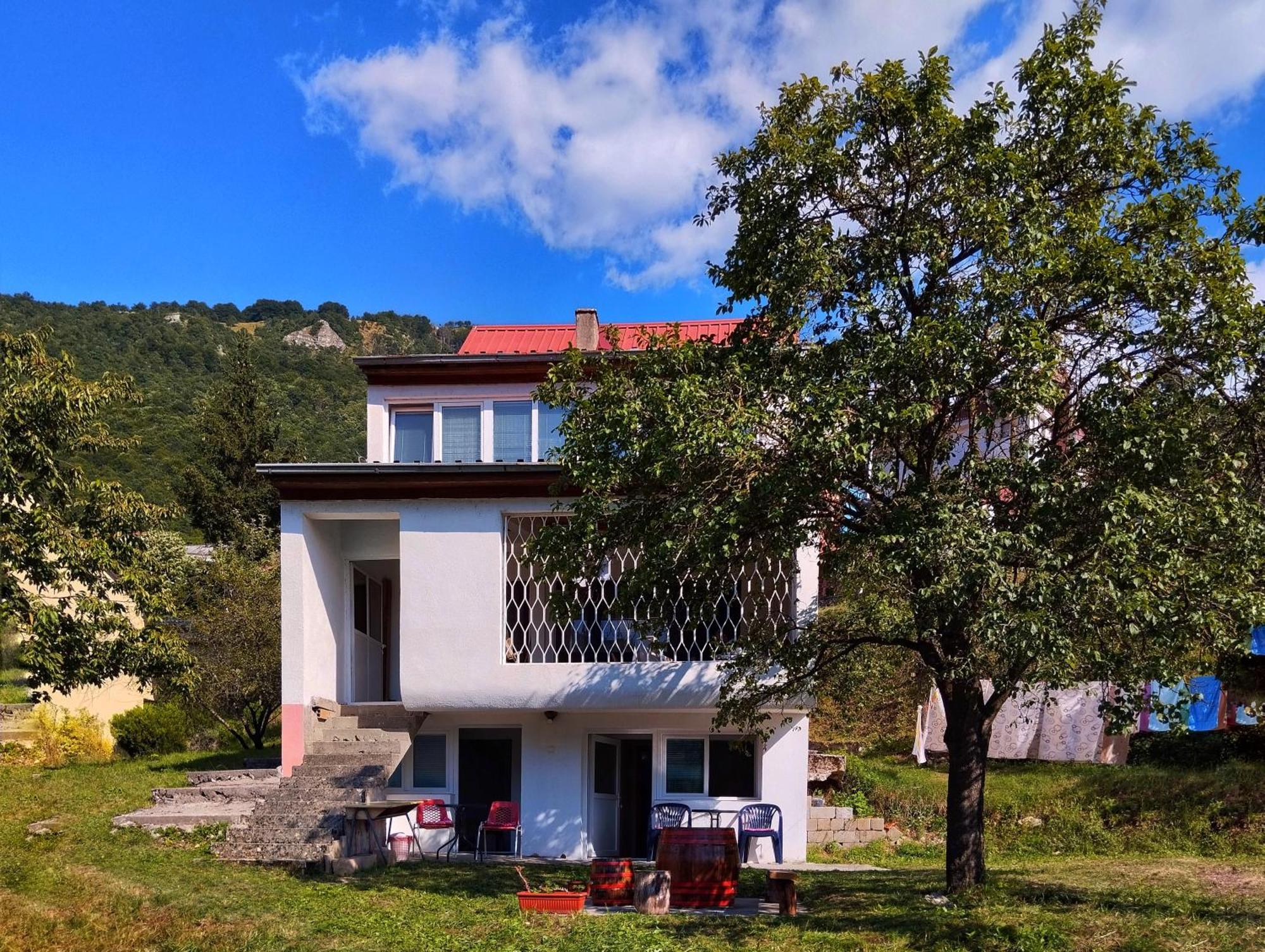 Guesthouse Mirkovic Плужине Экстерьер фото
